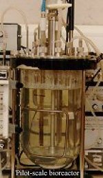 pilot-scale bioreactor