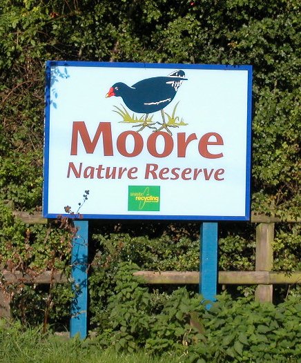 Moore Nature Reserve - picture  PFHamlyn